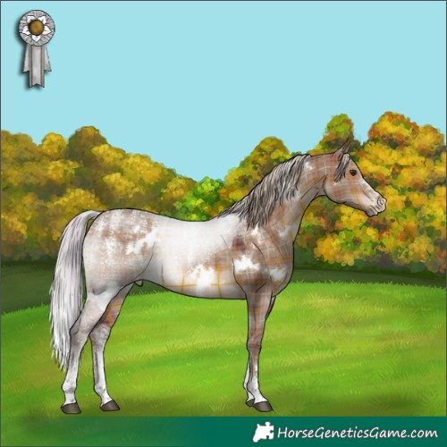 Horse Color:Powder White Plaid  White Spotted Silver Brown Dun 