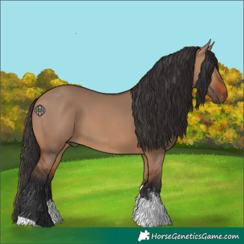 Horse Color:Bay Dun Sabino Tobiano Rabicano 