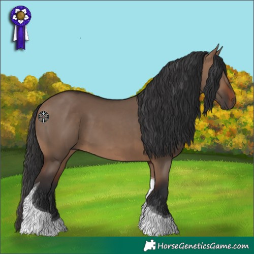Horse Color:Brown Dun Tobiano Rabicano 
