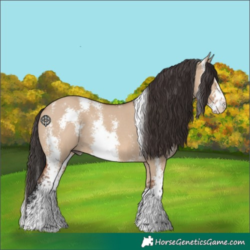 Horse Color:Bay Dun Sabino Rabicano