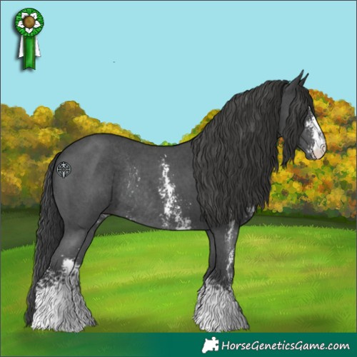 Horse Color:Black Sabino Rabicano 