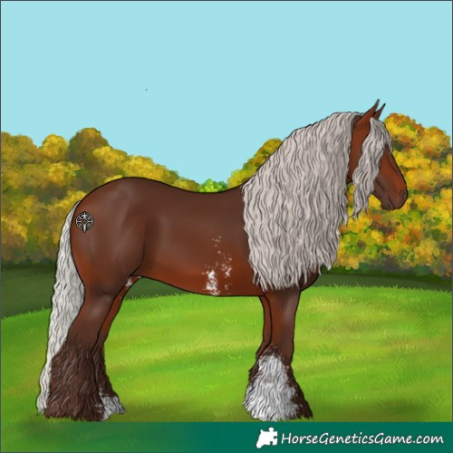Horse Color:Silver Bay Sabino Rabicano 