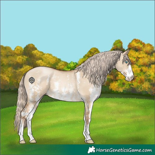 Horse Color:Chocolate Palomino Pearl Dun Sabino Rabicano