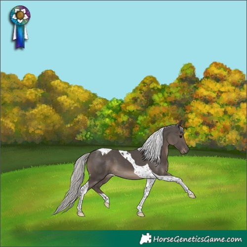 Horse Color:Silver Black Tobiano