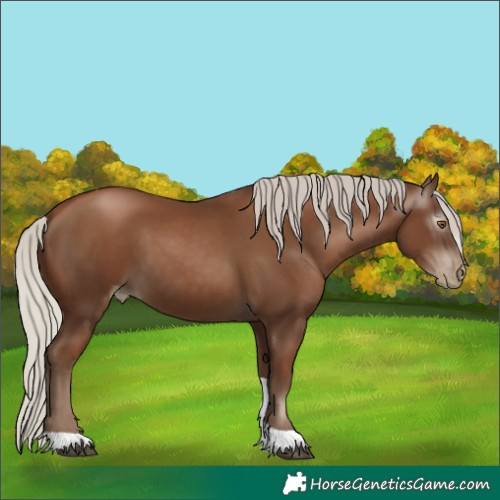 Horse Color:Gray Silver Black Pearl Tobiano 