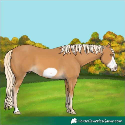 Horse Color:Palomino Frame 