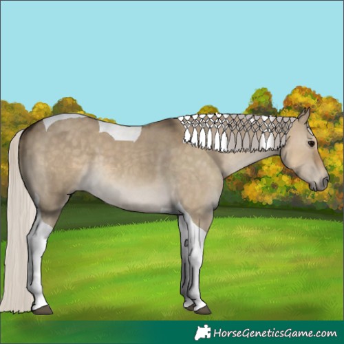 Horse Color:Silver Smoky Grullo Tobiano 