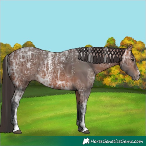 Horse Color:Powder White Bay Ice Rabicano