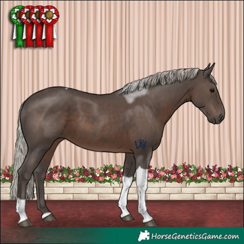 Horse Color:Silver Black Tobiano Rabicano