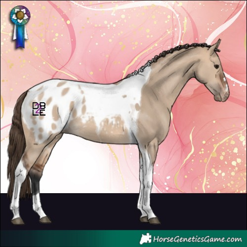 Horse Color:Bay Dun Tobiano Blanket
