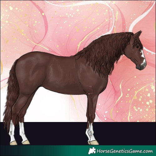 Horse Color:Gray Chocolate Black