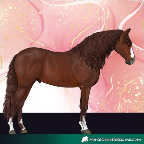 Horse Color:Gray Chocolate Bay