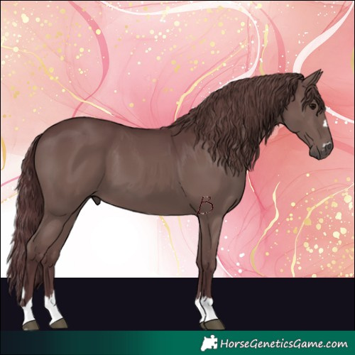 Horse Color:Chocolate Black