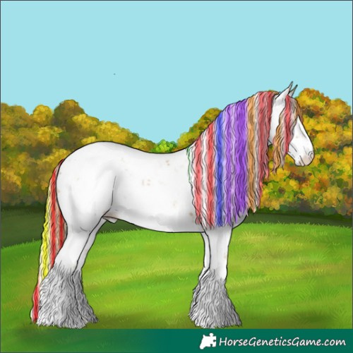Horse Color:Painted Chestnut Sabino Blanket 