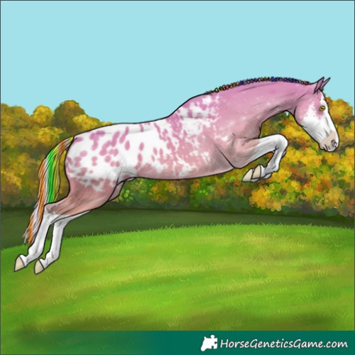 Horse Color:Painted Silver Buckskin Sabino Splash Blanket 