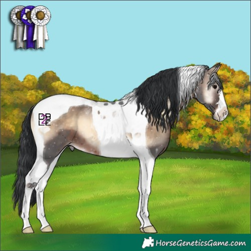 Horse Color:Brown Onyx Tobiano