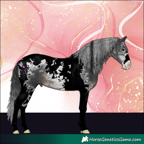 Horse Color:Black Tobiano Varnish