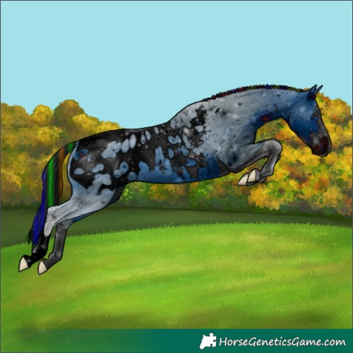 Horse Color:ERROR: UNKNOWN ANOMALY