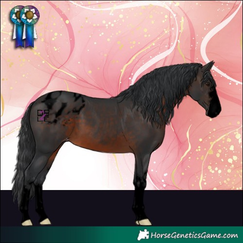 Horse Color:Void Brown Varnish