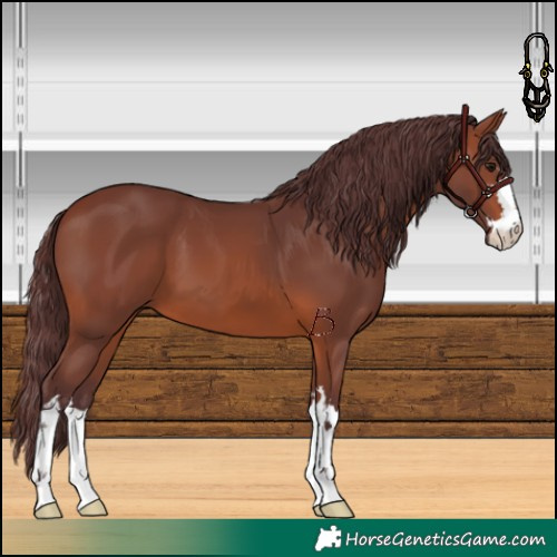 Horse Color:Chocolate Brown 