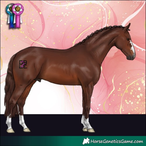 Horse Color:Gray Chocolate Brown