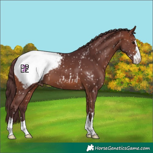 Horse Color:Chocolate Brown Snowcap