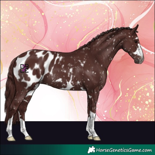 Horse Color:Gray Chocolate Black Blanket