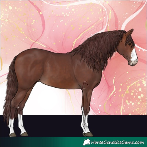 Horse Color:Chocolate Brown