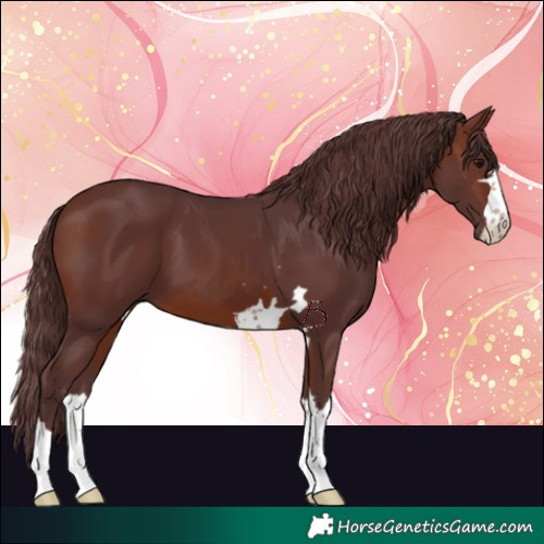 Horse Color:Chocolate Brown