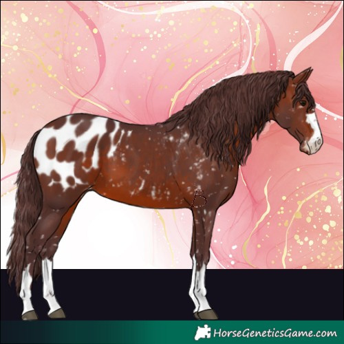 Horse Color:Chocolate Brown Blanket 