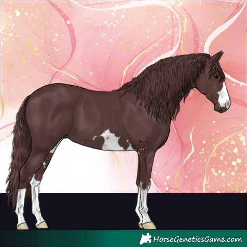 Horse Color:Chocolate Black