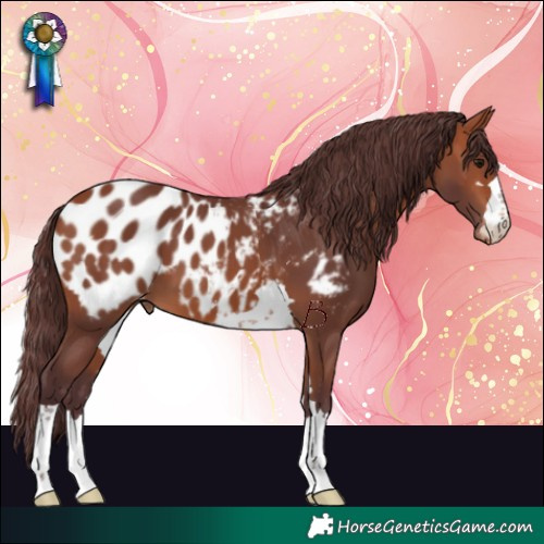 Horse Color:Chocolate Bay Blanket 