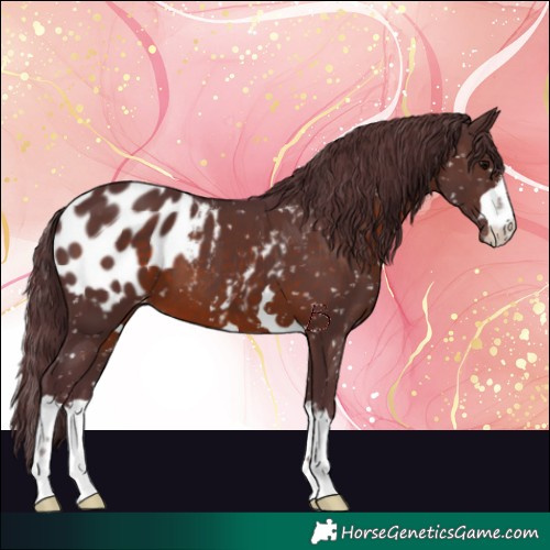 Horse Color:Chocolate Brown Blanket 