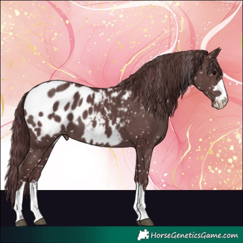 Horse Color:Chocolate Black Blanket