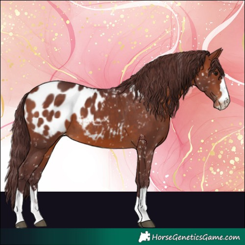 Horse Color:Chocolate Brown Blanket