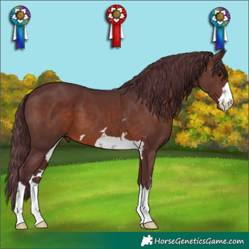 Horse Color:Chocolate Brown 