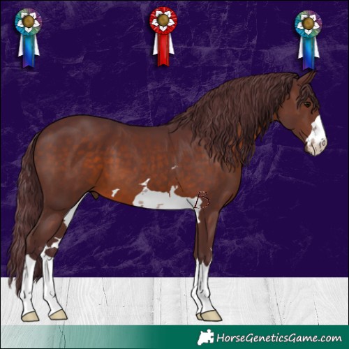 Horse Color:Chocolate Brown 