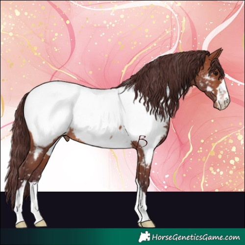 Horse Color:Chocolate Brown Near Fewspot