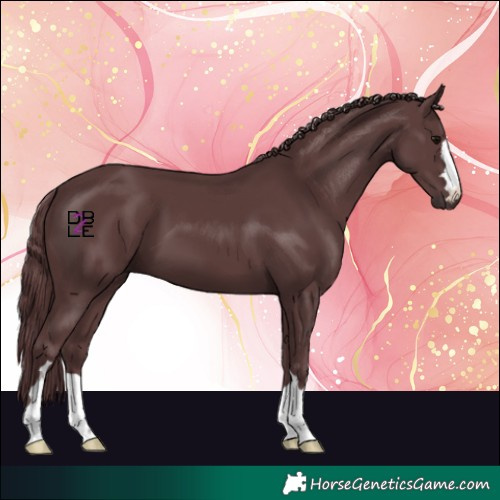 Horse Color:Chocolate Black