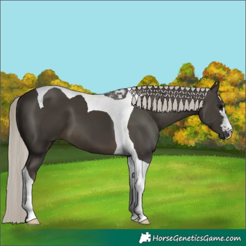 Horse Color:Silver Smoky Black Tobiano