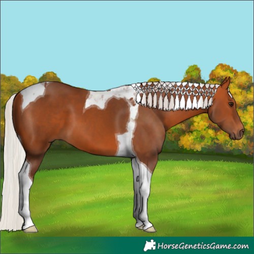 Horse Color:Silver Bay Tobiano