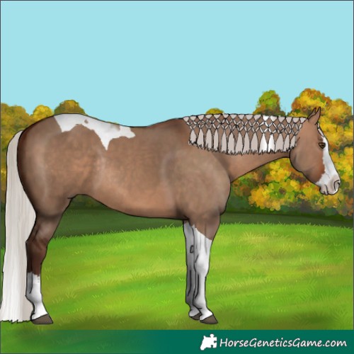 Horse Color:Silver Bay Dun Splash Tobiano Rabicano 