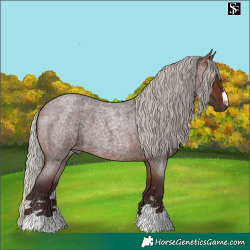 Horse Color:Silver Brown Roan