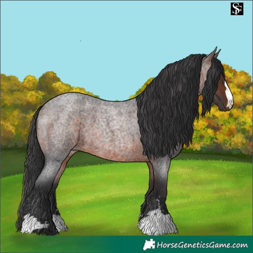 Horse Color:Brown Roan 