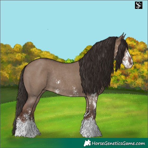 Horse Color:Liver Red Dun Sabino Rabicano 