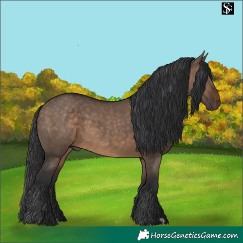Horse Color:Brown Dun Rabicano