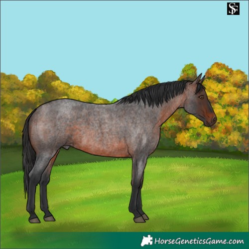 Horse Color:Brown Roan Mushroom