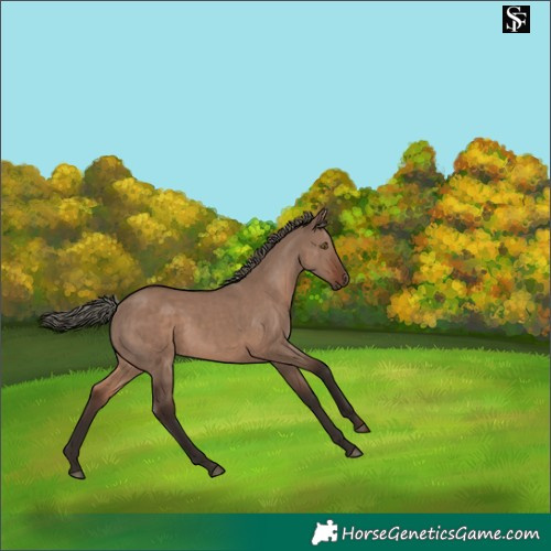 Horse Color:Liver Red Dun Mushroom