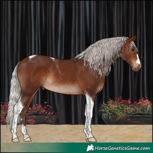 Horse Color:Silver Brown Tobiano Rabicano