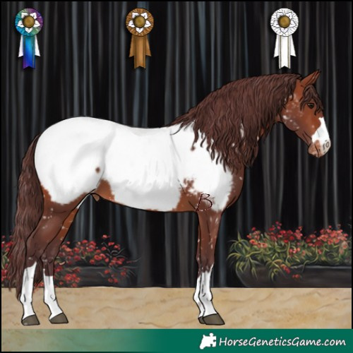 Horse Color:Chocolate Brown Near Fewspot